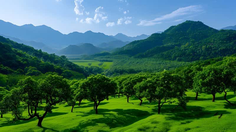 Agroforestry landscape fruit trees and medicinal plants growing in harmony
